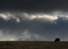 Barrabool Hills